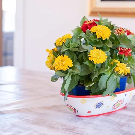 In Storica Lanterna Sul Mare * Palermo